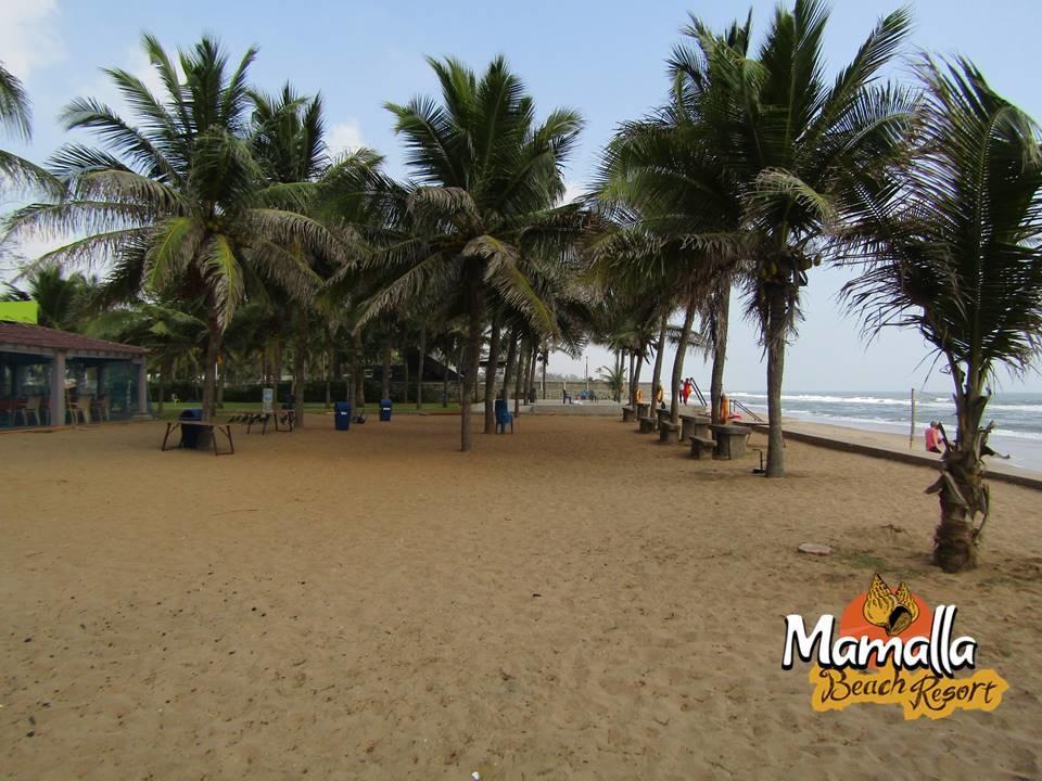 Mamalla Beach Resort Mahábalipuram Kültér fotó